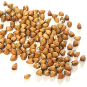 메밀씨 50g (Polygonum Fagopyrum (Buckwheat) Seed) 국산