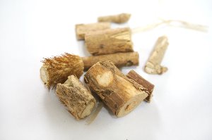 오갈피나무 껍질 100g (Acanthopanax Sessiliflorus Bark) 국산-영천
