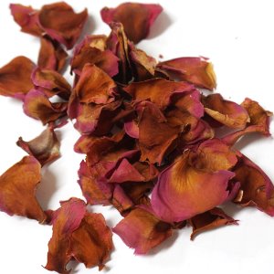동백나무 꽃잎 50g (Camellia Japonica Flower Petal) 국산