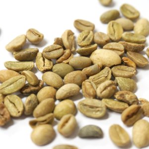 커피콩 생두 50g (Coffea Arabica (Coffee) Seed) 에티오피아