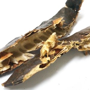 허니로커스트 50g (Gleditsia Triacanthos) 국산