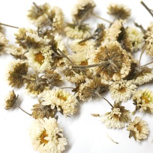 감국꽃(흰감국) 1kg (Chrysanthemum Indicum Flower) 국산-청주