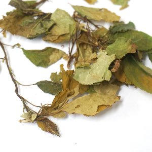 매실(매화)나무 잎 50g (Prunus Mume Leaf) 국산-청주