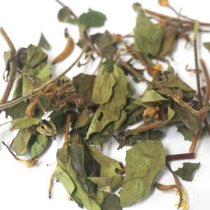 인동덩굴잎 100g (Lonicera Japonica (Honeysuckle) Leaf) 국산-청주