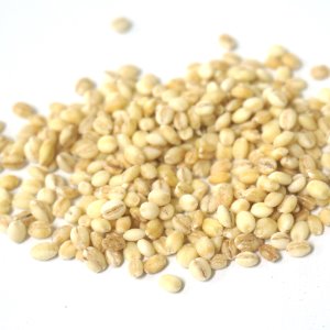 보리씨 50g (Hordeum Vulgare Seed) 국산