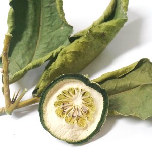 레몬 열매/잎/줄기  50g (Citrus Limon (Lemon) Fruit/Leaf/Stem) 국산