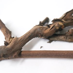 포도줄기 50g (Vitis Vinifera (Grape) Stem) 국산-청주