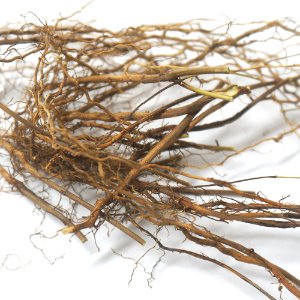 차풀뿌리 50g (Chamaecrista nomame Root) 국산