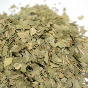 님 잎 1kg (Azadirachta Indica Leaf) 인도산