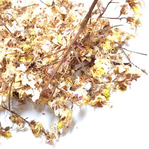 가시칠엽수 꽃 50g (Aesculus Hippocastanum (Horse Chestnut) Flower) 국산-청주