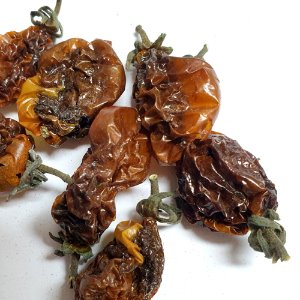 검정토마토 50g (Black Solanum Lycopersicum Fruit) 국산-청주