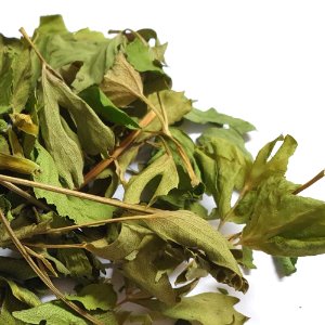 갯방풍잎줄기뿌리 50g (Glehnia littoralis Leaf/Stem/Root) 국산-청주