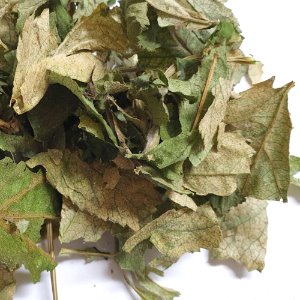 참당귀 잎 50g (Angelica Gigas Leaf) 국산-청주
