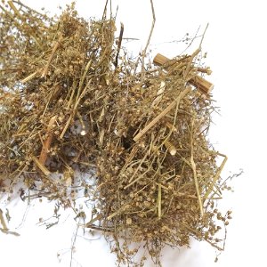 개똥쑥 전초 50g (Artemisia Annua) 국산