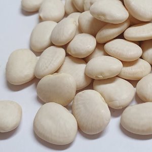 리마콩씨 50g (Phaseolus Lunatus Seed) 국산-청주