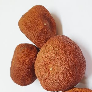 귤 50g (Citrus Unshiu Fruit) 국산-제주