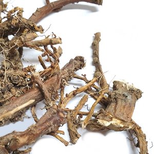 팥꽃나무 뿌리 50g (Daphne Genkwa Root) 국산-청주
