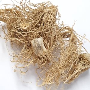 파 뿌리 50g (Allium Fistulosum Root) 국산-청주