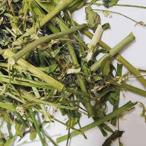 흰전동싸리 전초 50g (Melilotus Albus) 국산-청주