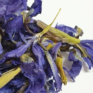 블루플레그아리리스꽃(붓꽃) 50g (Iris Versicolor Flower) 국산-청주