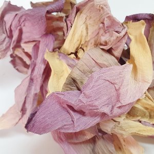 연꽃꽃 50g (Nelumbium Speciosum Flower) 국산-제주