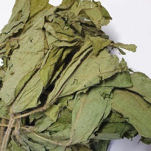 콩 잎 50g (Glycine Max Leaf) 국산-청주
