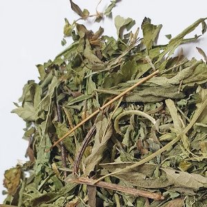 스테비아 잎/줄기 50g (Stevia Rebaudiana Leaf/Stem) 국산-청주
