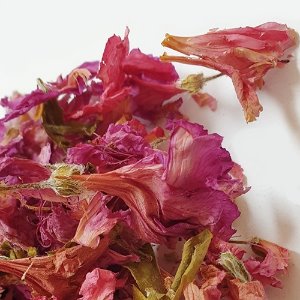 영산홍 꽃(분홍) 50g (Rhododendron Indicum Flower(pink)) 국산-청주