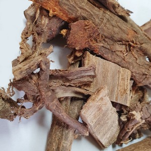 왕느릅나무 껍질(유근피) 50g (Ulmus macrocarpa Bark) 국산-청주