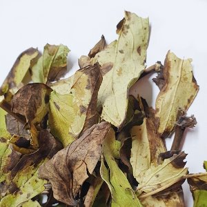 작약 잎 50g (Paeonia Lactiflora Leaf) 국산-청주