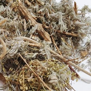 사철쑥 50g (Artemisia Capillaris) 국산-제주