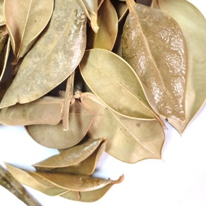구주호랑가시나무잎 50g (Ilex Aquifolium (Holly) Leaf) 국산-청주