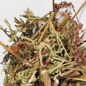 사철쑥(강화인진쑥) 잎/줄기 50g (Artemisia Capillaris Leaf/Stem) 국산-강화