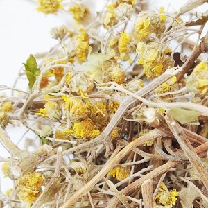 산국 전초 50g (Chrysanthemum Boreale Flower/Leaf/Stem) 국산-청주