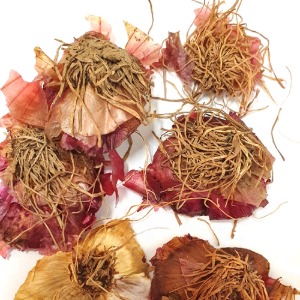 양파(자색양파)뿌리 50g (Allium Cepa Root (Purple Onion)) 국산-무안