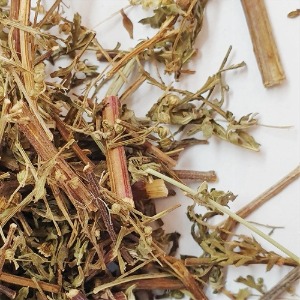 사철쑥(인진쑥) 전초 50g (Artemisia Capillaris) 국산-영천