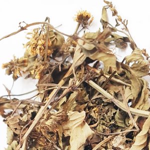 워터민트 전초 50g (Mentha Aquatica Flower/Leaf/Stem) 국산-청주