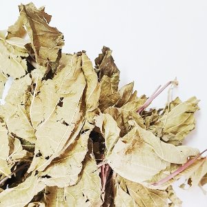 예덕나무 잎 50g (Mallotus Japonicus Leaf) 국산-청주