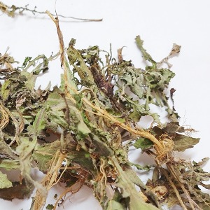 뽀리뱅이 새싹 50g (Youngia japonica Sprout) 국산-청주