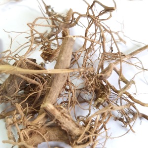 광곽향 뿌리 10g (Pogostemon Cablin Root) 인도네시아산