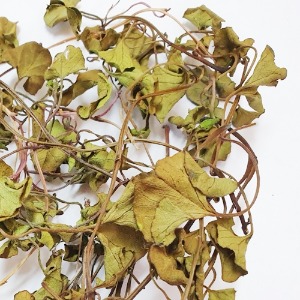 갯메꽃 덩굴줄기/잎 50g (Calystegia soldanella Vine/Leaf) 국산-선유도