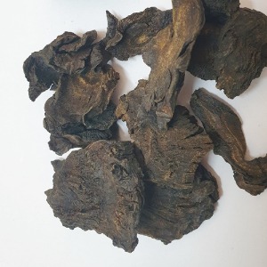 장엽대황(주증) 뿌리 50g (Rheum Palmatum Root) 중국산