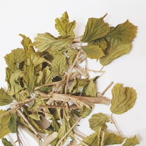 버지니아풍년화 잎/잔가지 50g (Hamamelis Virginiana Leaf/Twig) 국산-청주