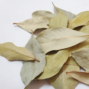 구아바 잎 50g (Psidium Guajava Leaf) 국산-청주