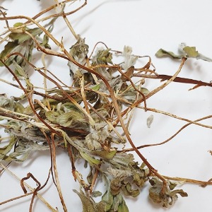 모래지치 잎/줄기 50g (Argusia sibirica (L.) Dandy Leaf/Stem) 국산-서천