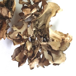 잎새버섯 50g (Ganoderma Lucidum (Mushroom)) 국산-정선