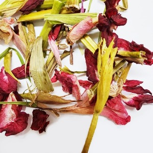 글라디올러스 꽃 50g (Gladiolus Flower) 국산-청주