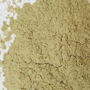 귀리 새싹가루 50g (Avena Sativa Sprout Powder) 국산-청주