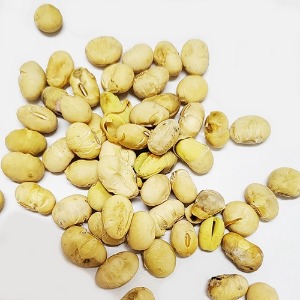 돌콩 싹 50g (Glycine Soja (Soybean) Sprout) 국산-청주
