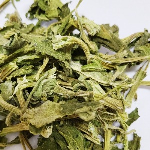 멜론 잎/줄기 50g (Cucumis Melo Leaf/Stem) 국산-청주